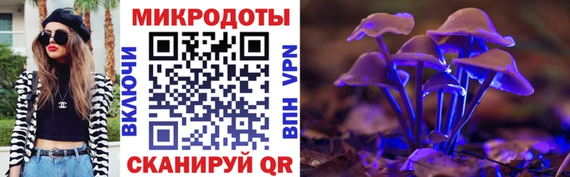 Галлюциногенные грибы мицелий  наркота  Вельск 